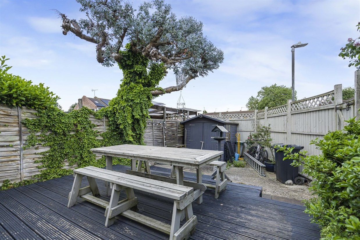 Rear garden with mature olive tree and seating